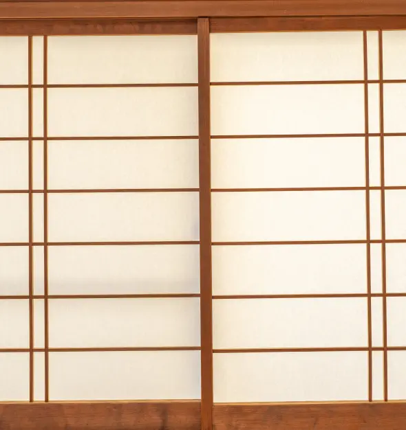 画像ギャラリー