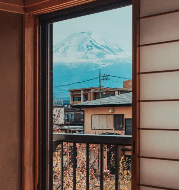 画像ギャラリー