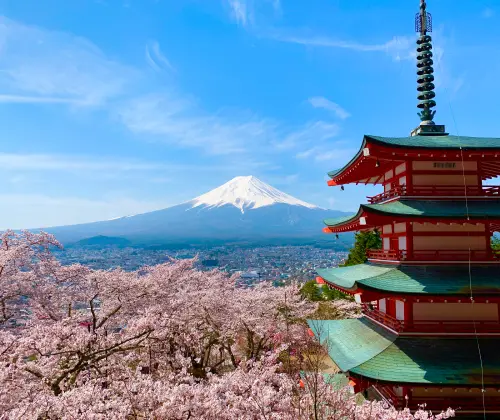 新倉山浅間公園さくら祭