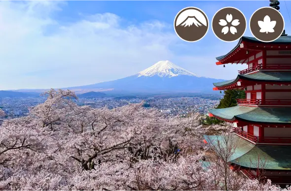 新倉山浅間公園（忠霊塔）