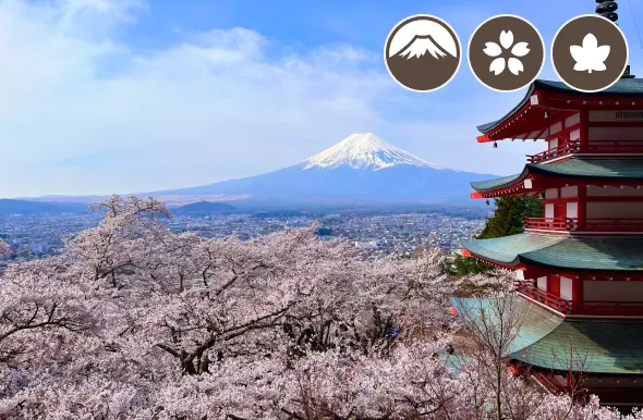 新倉山浅間公園（忠霊塔）